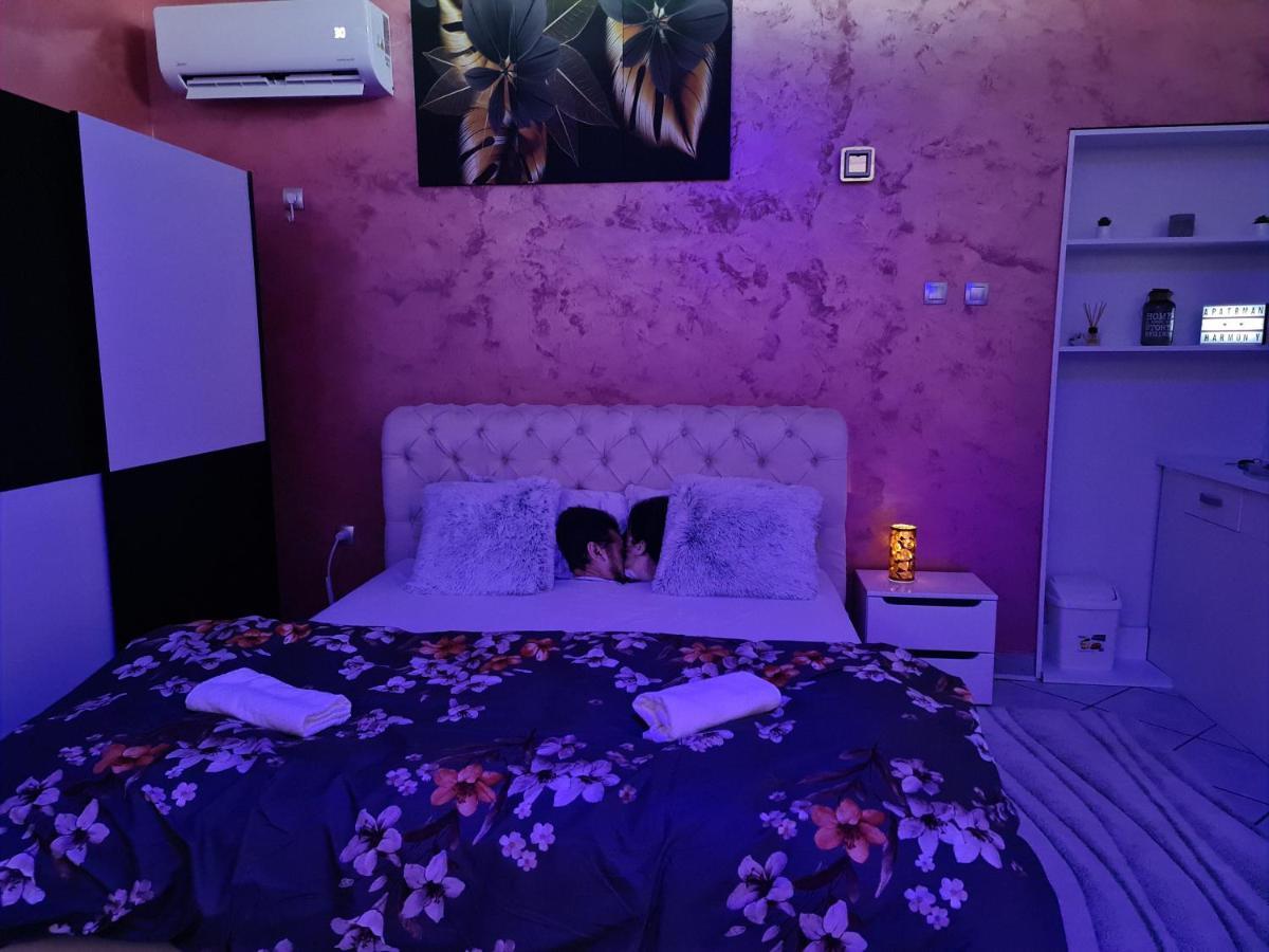 Apartman -Harmony- Paraćin Kültér fotó