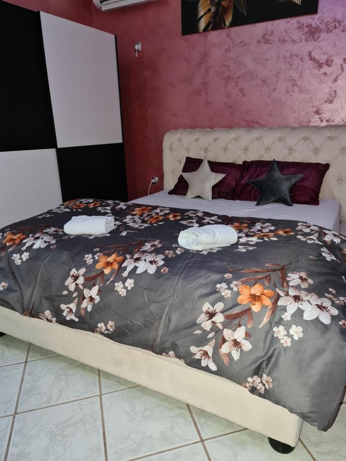 Apartman -Harmony- Paraćin Kültér fotó