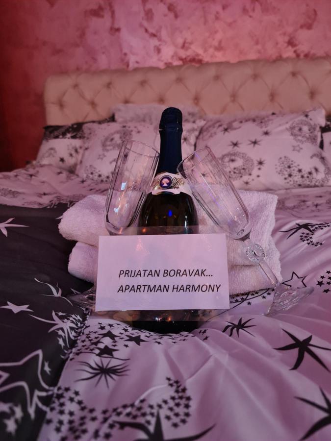 Apartman -Harmony- Paraćin Kültér fotó